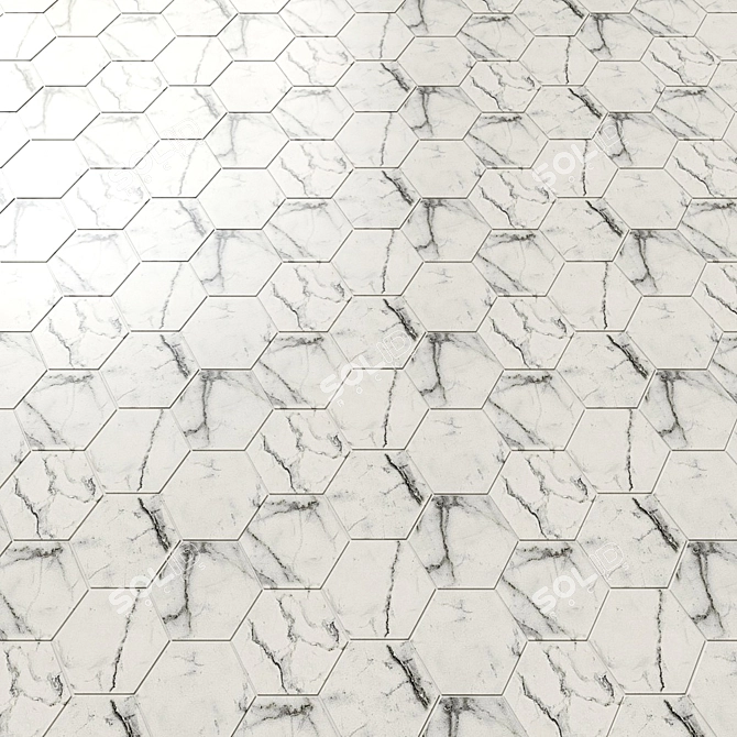 1. Italon Sharm Evo Kalakata Hexagon Tiles
2. Italon Sharm Evo Statuario Hexagon Tiles
3 3D model image 3