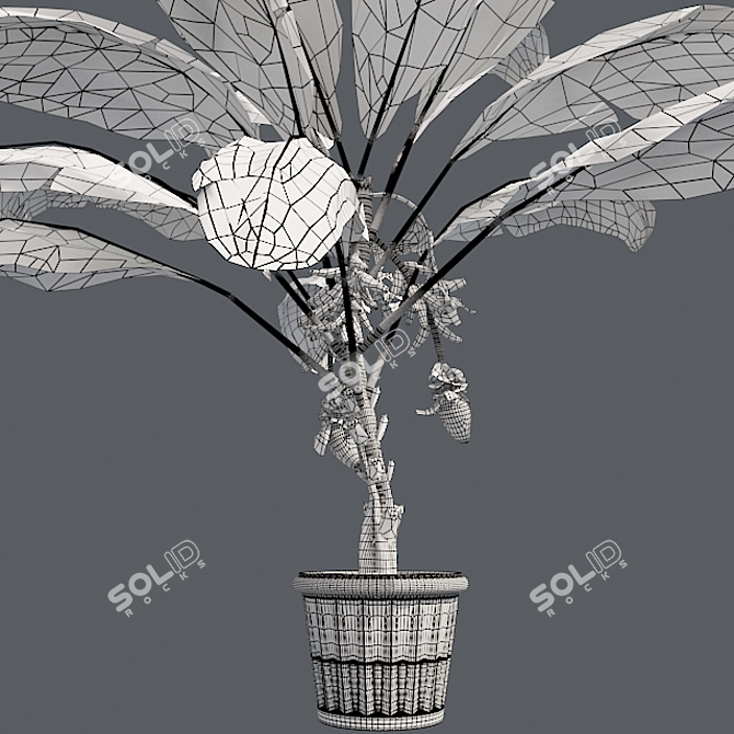 Tropical Delight: Banana Plant with Pot 3D model image 5