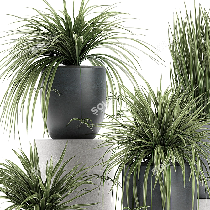 Indoor Decorative Concrete Plant Collection 3D model image 4