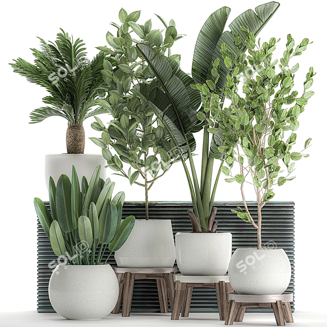 Tropical Plant Collection: Exotic Indoor Plants in White Pots 3D model image 1