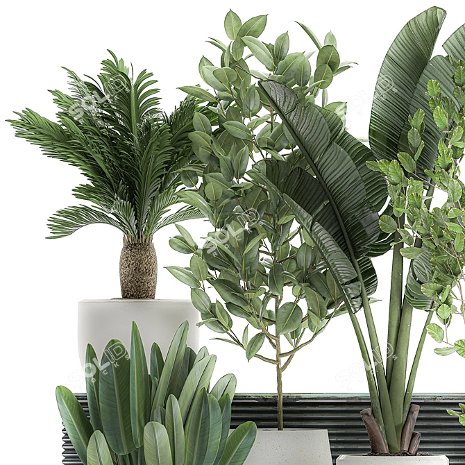 Tropical Plant Collection: Exotic Indoor Plants in White Pots 3D model image 2