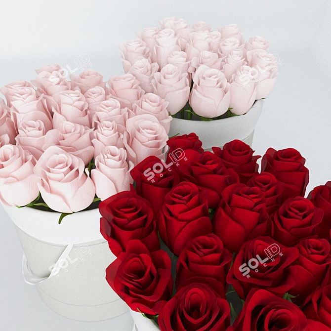 Luxury Rose Box Set 3D model image 2