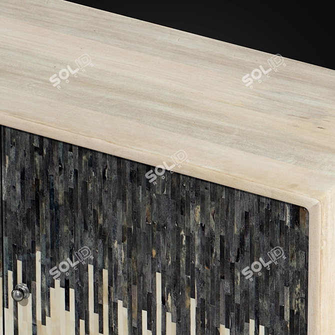 Modern Three Door Console 3D model image 2