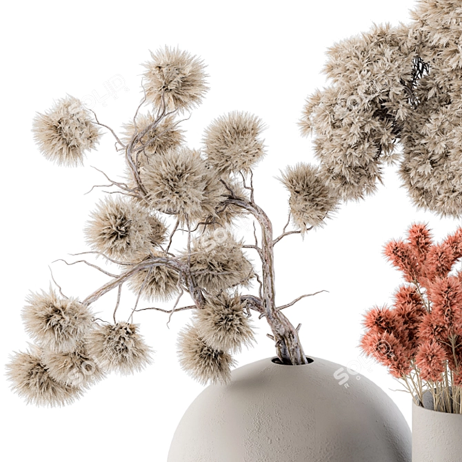 15 Dried Plants: Natural and Beautiful 3D model image 2