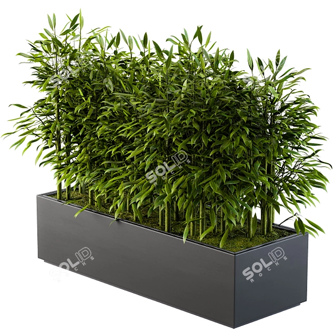 Natural Bamboo Plant Set 3D model image 1