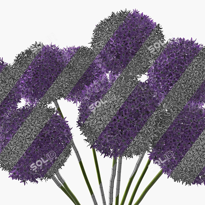 Decorative Allium in Vase 3D model image 5