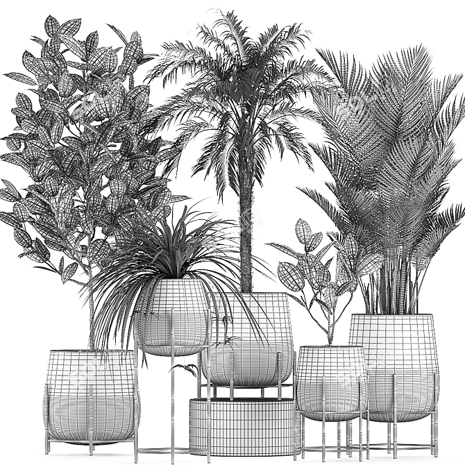 Tropical Indoor Plant Collection 3D model image 5