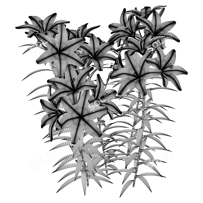 Outdoor Lily Garden Blossoms 3D model image 3