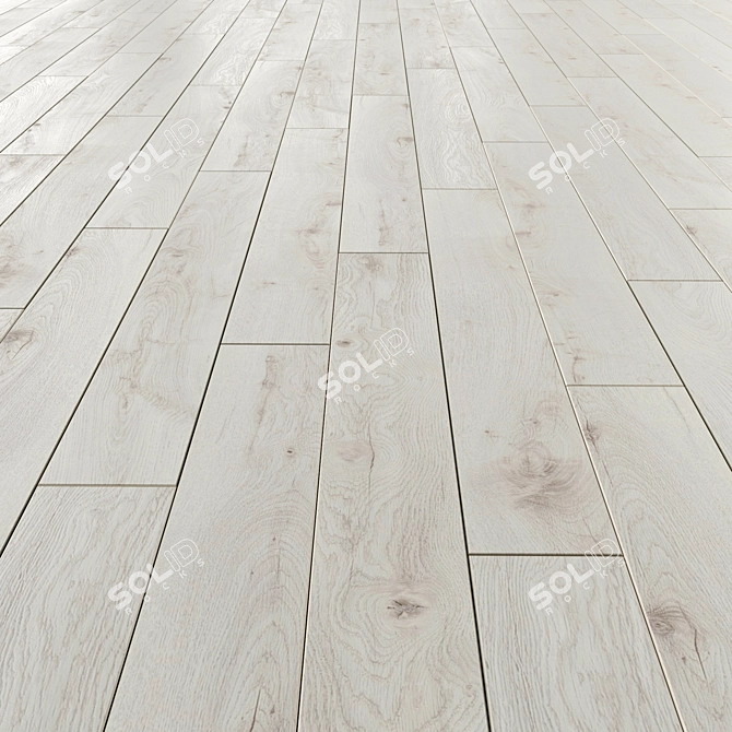 Chantilly Oak Laminate Flooring 3D model image 2