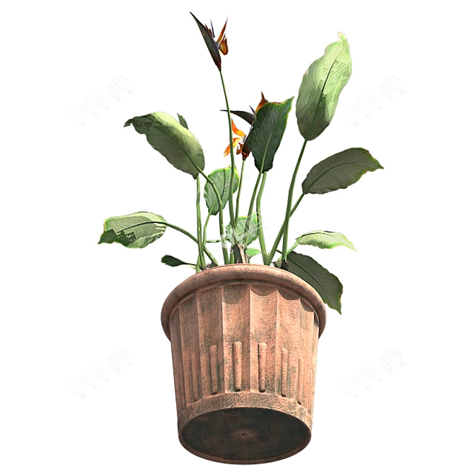 Bamboo Harmony Pot 3D model image 3