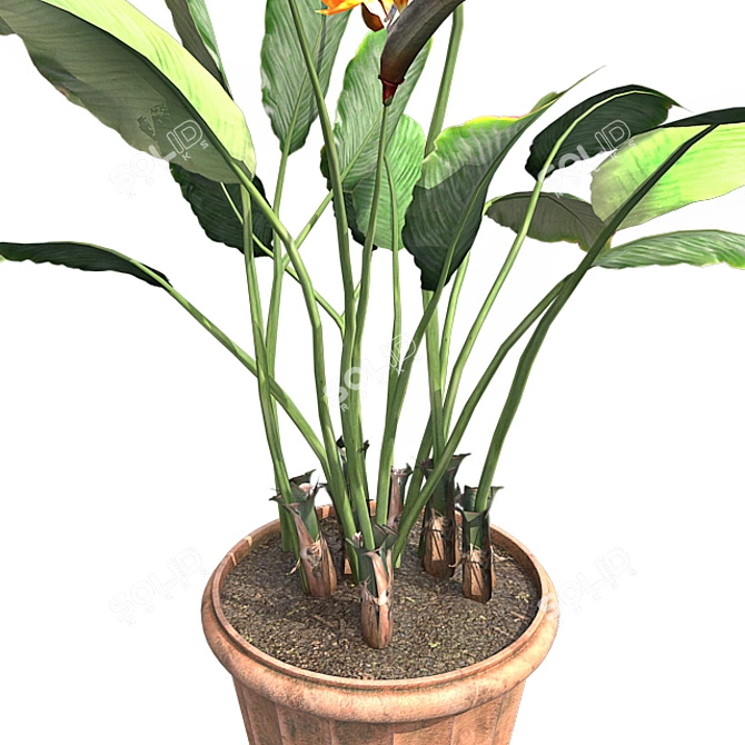 Bamboo Harmony Pot 3D model image 4