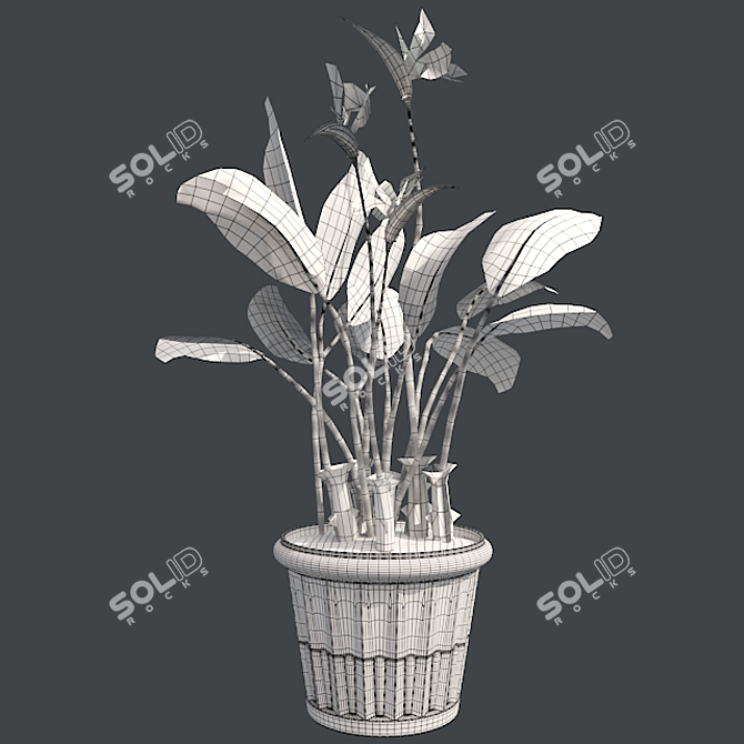 Bamboo Harmony Pot 3D model image 5