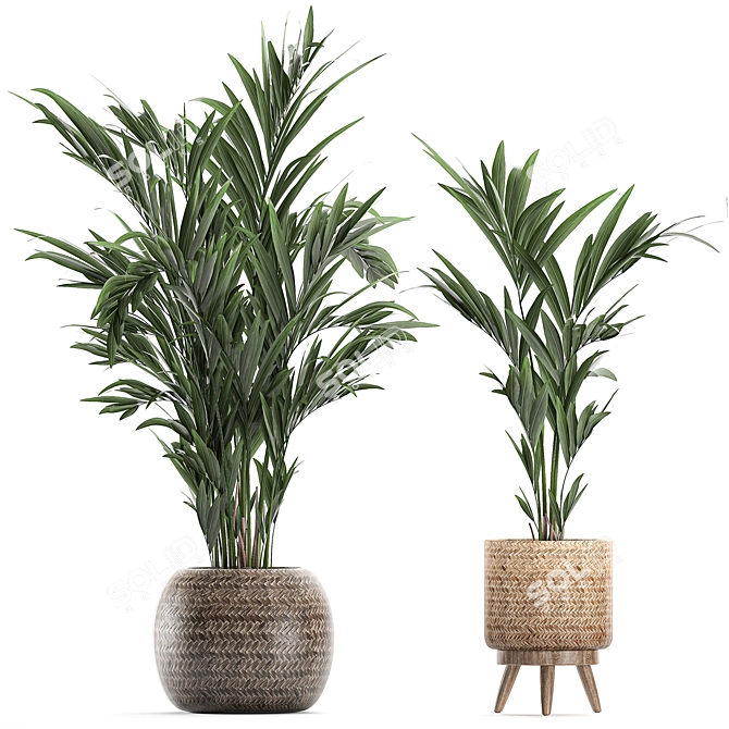 Tropical Oasis Plant Collection 3D model image 3