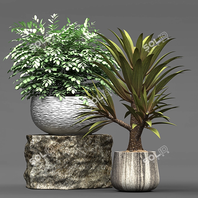 Botanical Paradise: Deluxe Plant Collection 3D model image 1