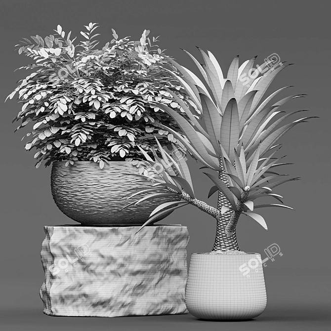 Botanical Paradise: Deluxe Plant Collection 3D model image 2