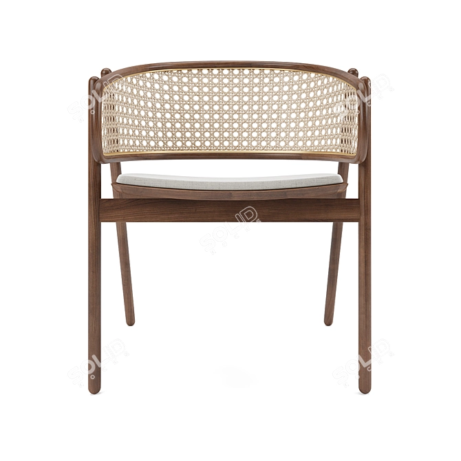 Sleek Cane Rattan Chair 3D model image 2