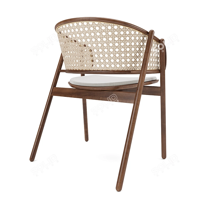 Sleek Cane Rattan Chair 3D model image 3