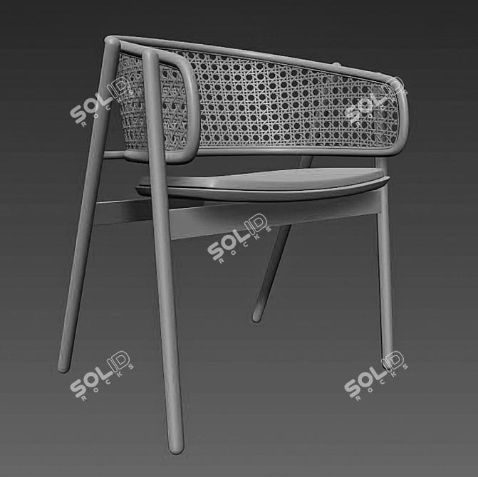 Sleek Cane Rattan Chair 3D model image 4