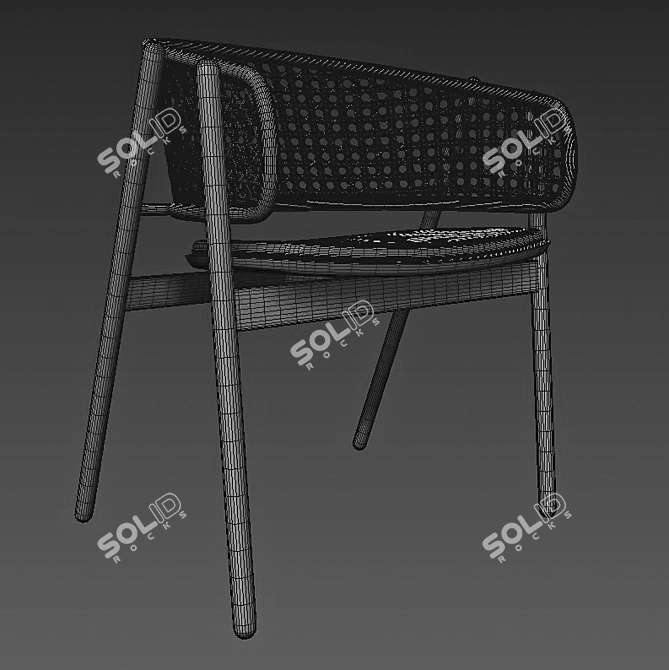 Sleek Cane Rattan Chair 3D model image 5