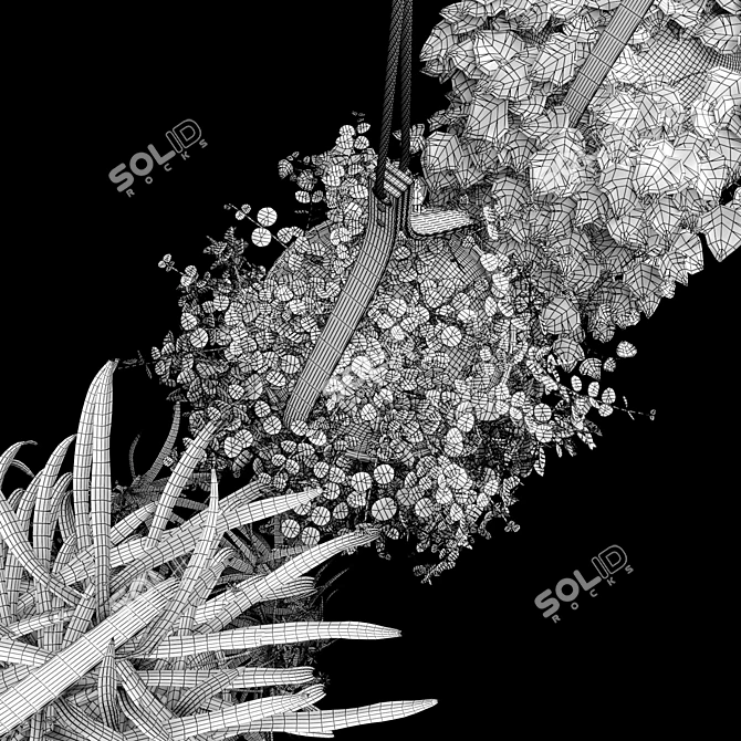 Hanging Plant Trio: Dyshidia, Chlorophytum, Heder 3D model image 4