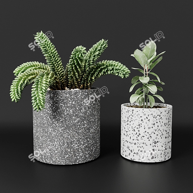 Bransc Pots: Chic Black and White Planters 3D model image 1