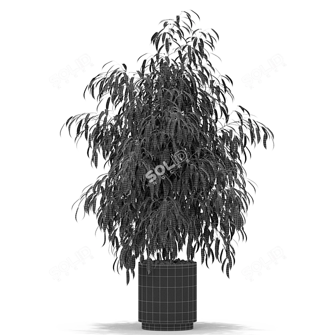 Greenery Oasis: Exquisite Plant Assortment 3D model image 3