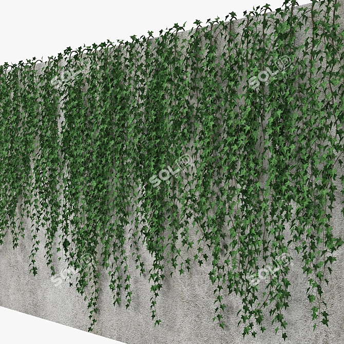 Mirror Ivy Wall: Versatile and Stunning 3D model image 2