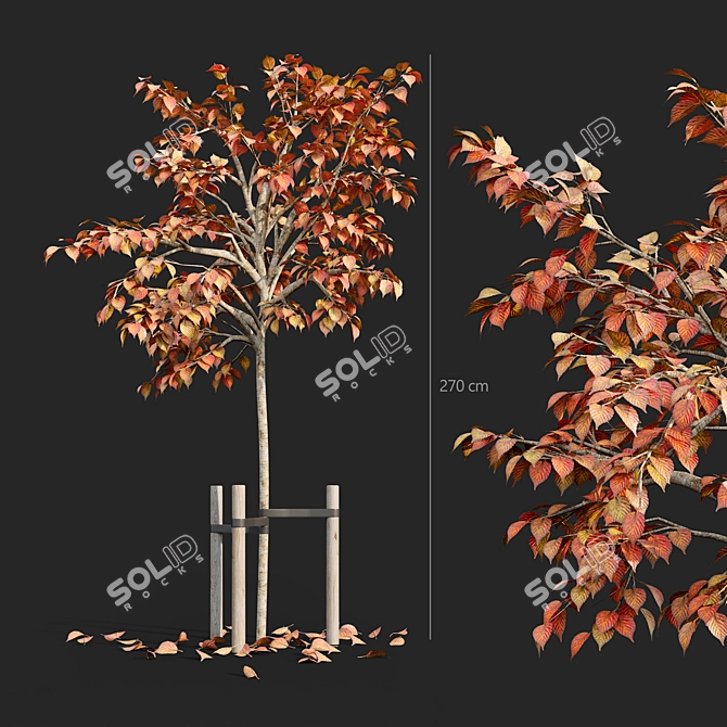 Sturdy Tree Stake for Superior Support 3D model image 1