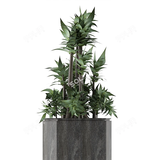 Modern Exotic Palm Tree: House Plant 20 3D model image 2