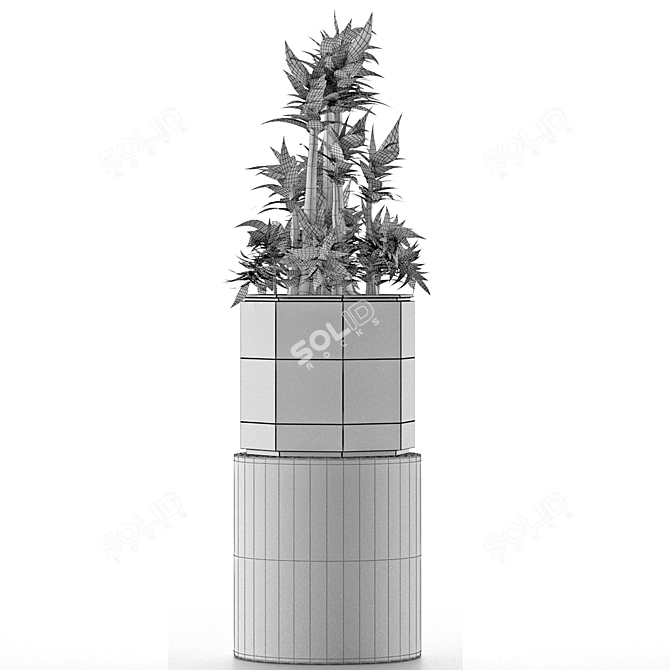Modern Exotic Palm Tree: House Plant 20 3D model image 5
