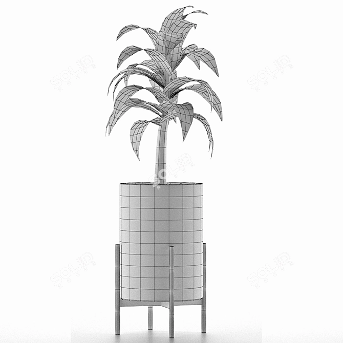 Exotic Decorative Palm Tree: House Plant 3D model image 5