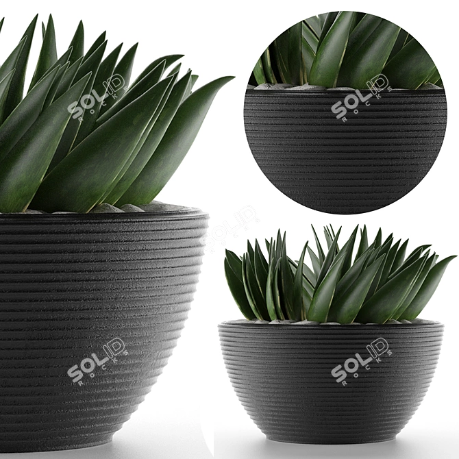 Title: Exotic Palm House Plant 3D model image 1