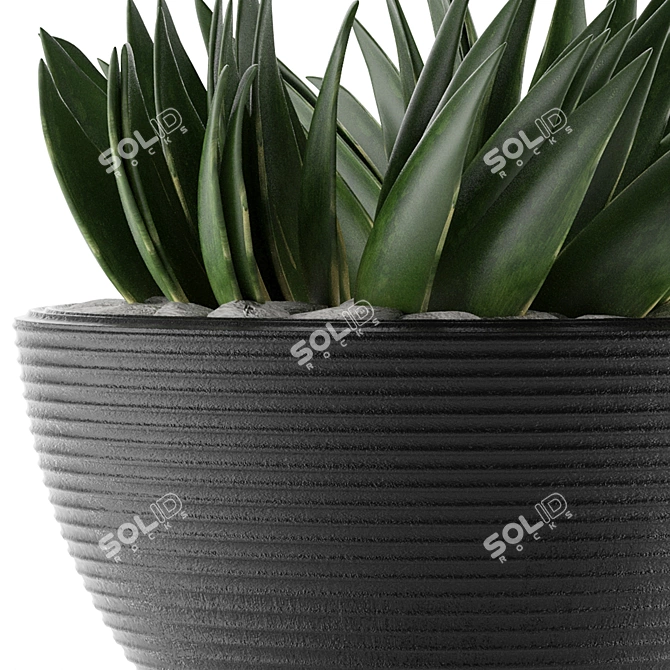 Title: Exotic Palm House Plant 3D model image 3