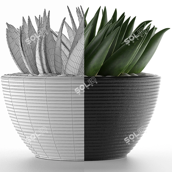 Title: Exotic Palm House Plant 3D model image 4