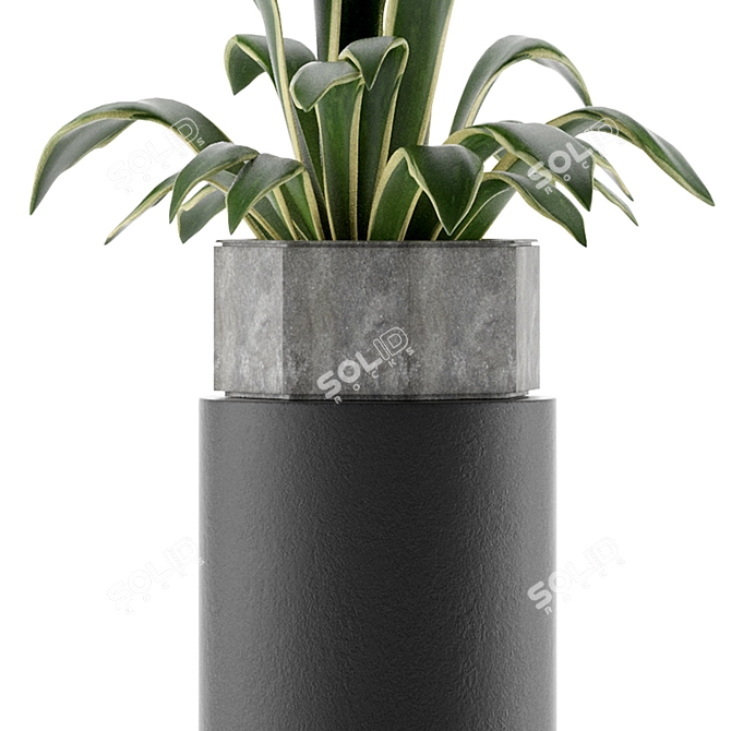 Exotic Palm House Plant 3D model image 3