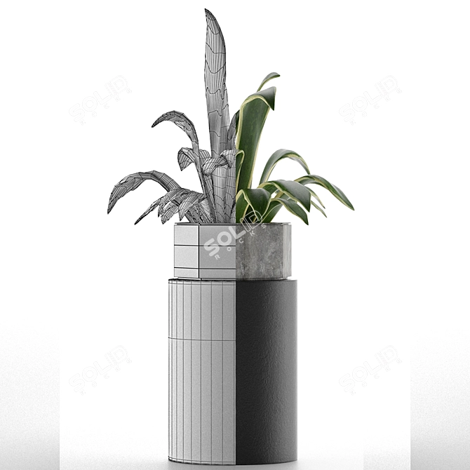 Exotic Palm House Plant 3D model image 4