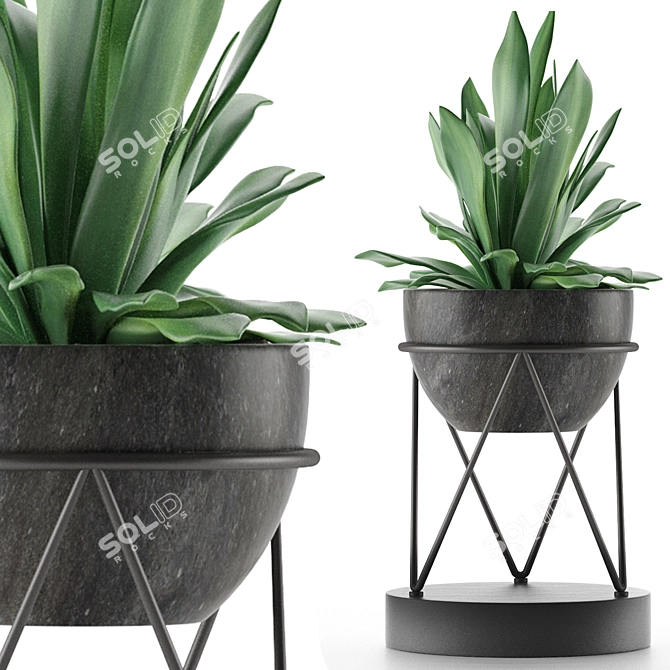 Exotic Palm: Modern Concrete House Plant 3D model image 1