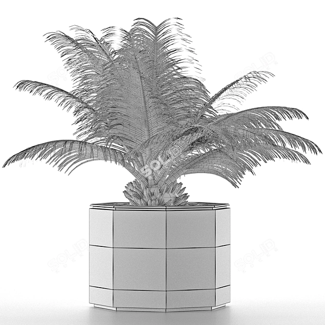 Exotic Palm Tree: House Plant 28 3D model image 5