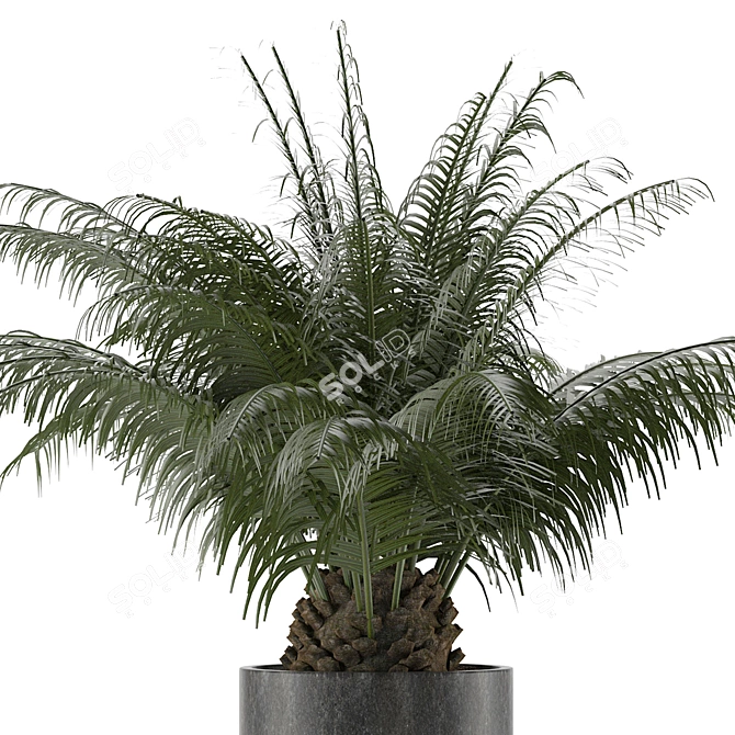 Tropical Palm Tree Decor 3D model image 2