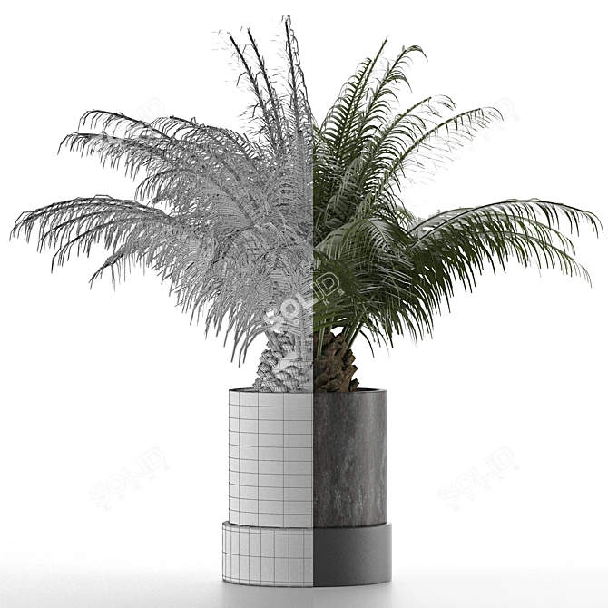 Tropical Palm Tree Decor 3D model image 4