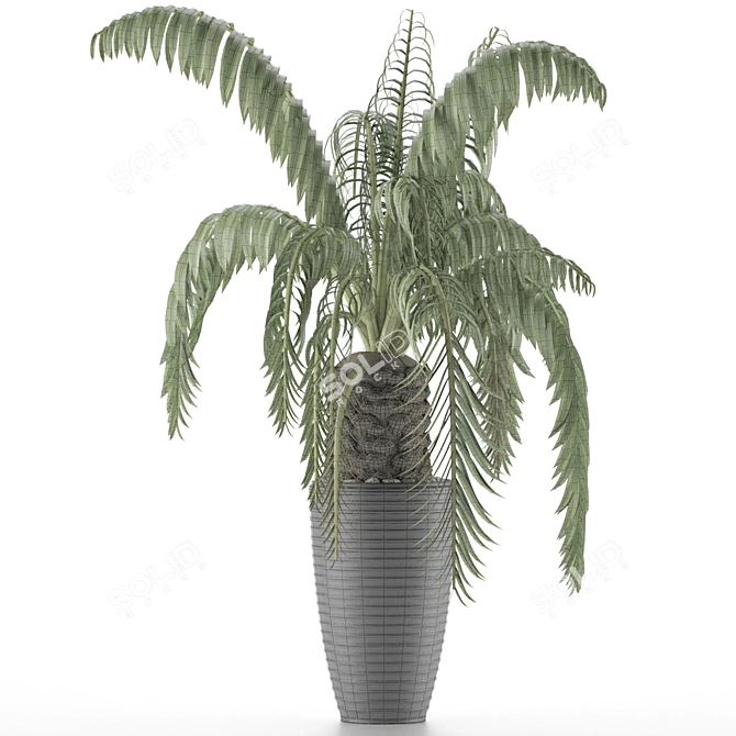 Exotic Palm Tree: House Plant 41 3D model image 4