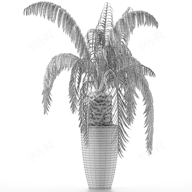 Exotic Palm Tree: House Plant 41 3D model image 5