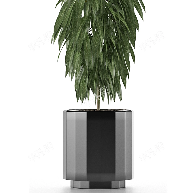 Exotic Palm Tree: Single Plant 02 3D model image 2