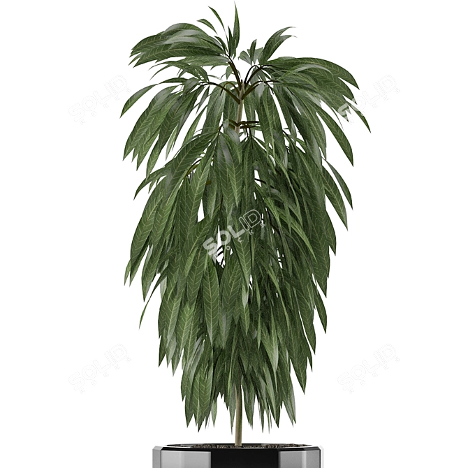 Exotic Palm Tree: Single Plant 02 3D model image 3