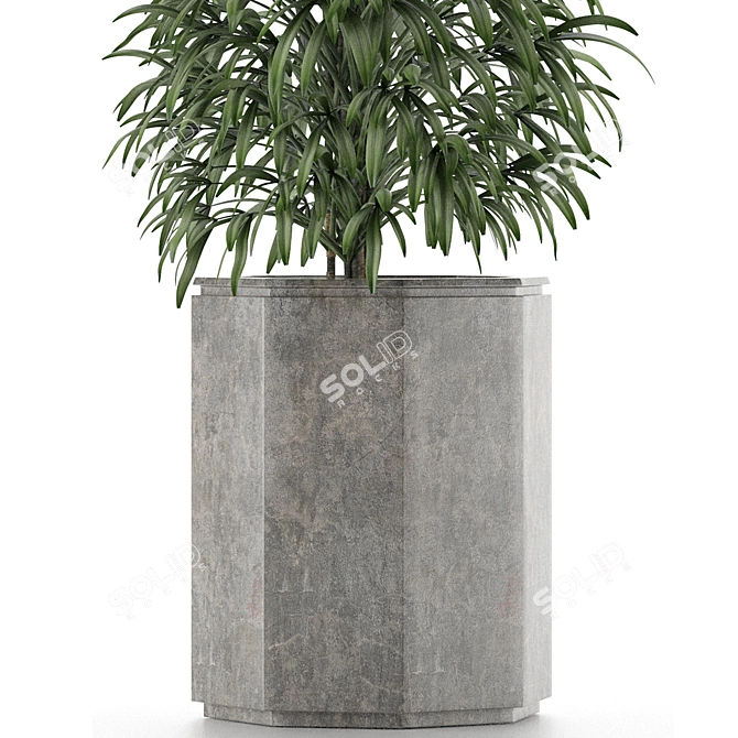 Exotic Palm: Single Plant 04 3D model image 3