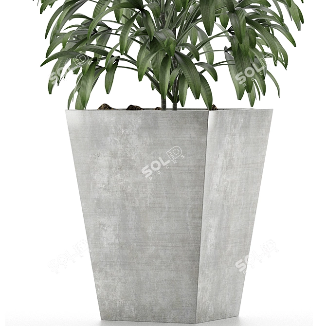 Exotic Palm Tree: Single Plant 05 3D model image 3