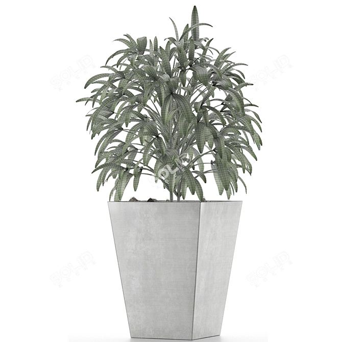 Exotic Palm Tree: Single Plant 05 3D model image 4