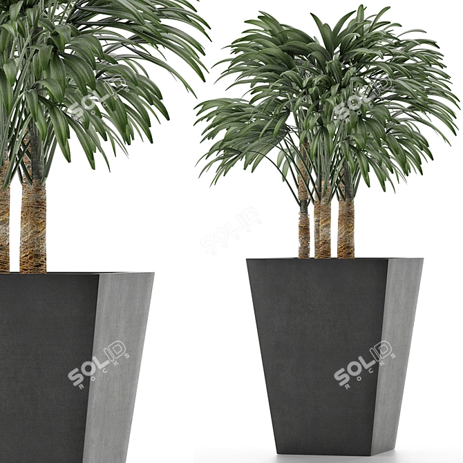 Exotic Plant: Single Banana Palm 3D model image 1