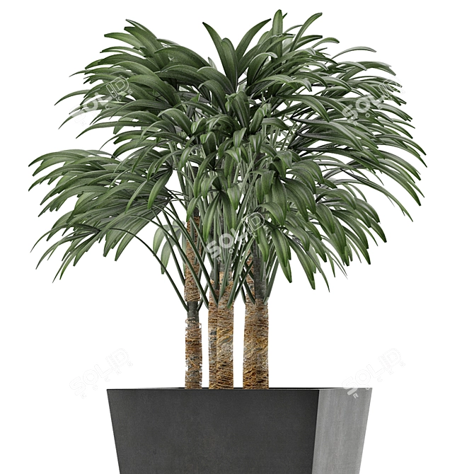 Exotic Plant: Single Banana Palm 3D model image 2