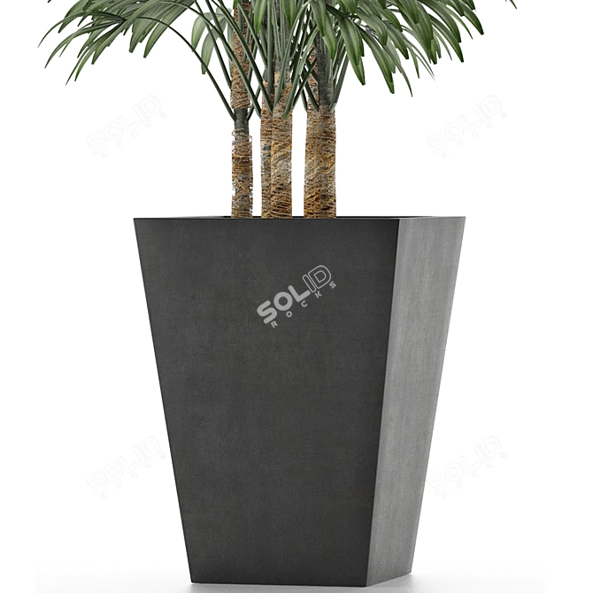 Exotic Plant: Single Banana Palm 3D model image 3